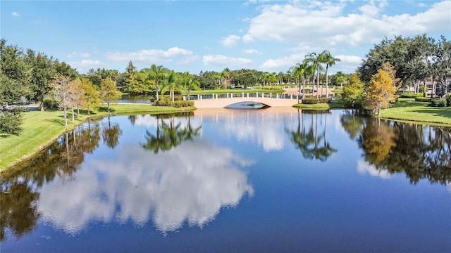 view of water feature