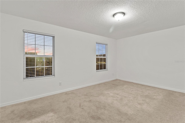 carpeted spare room with a textured ceiling and a wealth of natural light