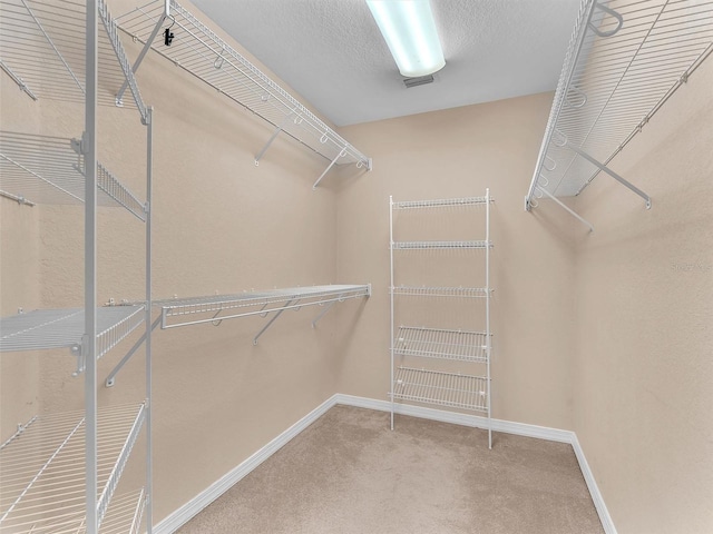 spacious closet featuring carpet