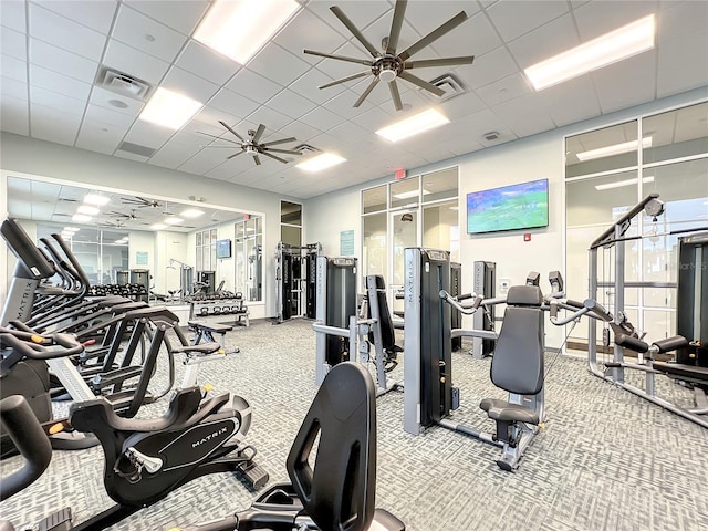 exercise room with ceiling fan, a drop ceiling, and carpet floors