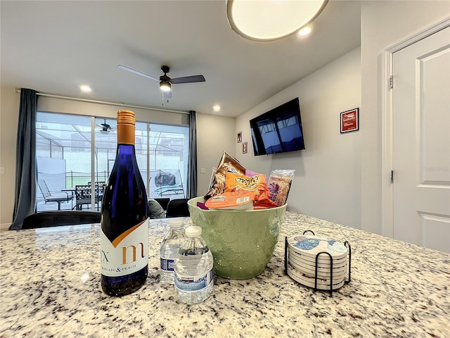 room details with ceiling fan