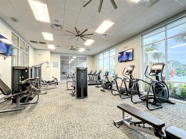 gym with carpet floors, ceiling fan, and a paneled ceiling