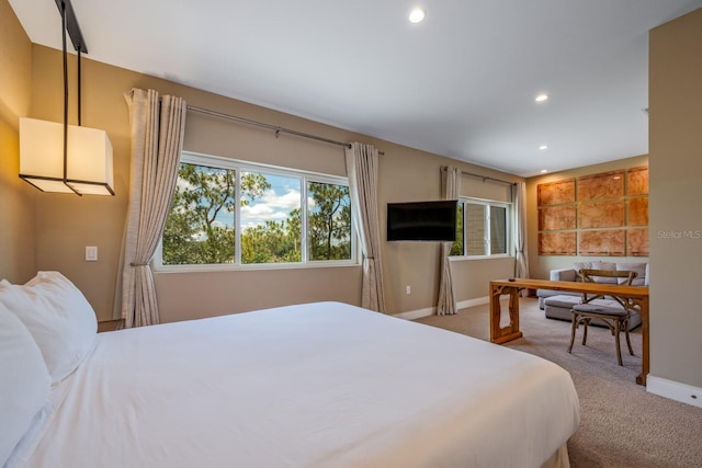 bedroom with carpet floors