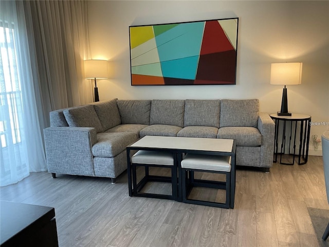 living room featuring hardwood / wood-style flooring