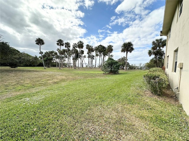 230 Cape Shores Cir Unit 17A, Cape Canaveral, FL 32920 - view of green lawn