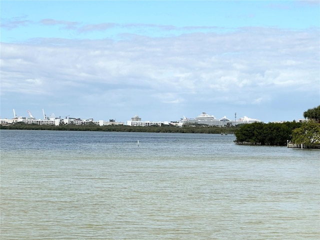 view of water feature