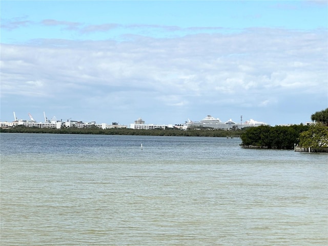 230 Cape Shores Cir Unit 17A, Cape Canaveral, FL 32920 - water view
