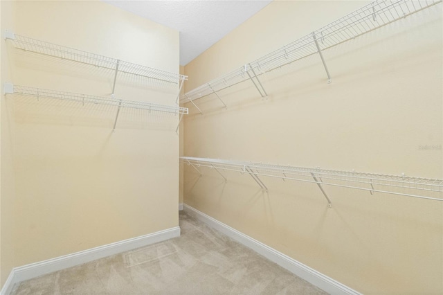 walk in closet with carpet