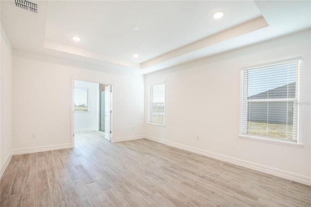 spare room featuring a raised ceiling, a wealth of natural light, and light hardwood / wood-style flooring