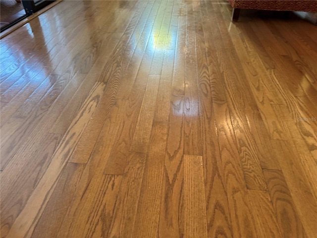 interior details with hardwood / wood-style flooring