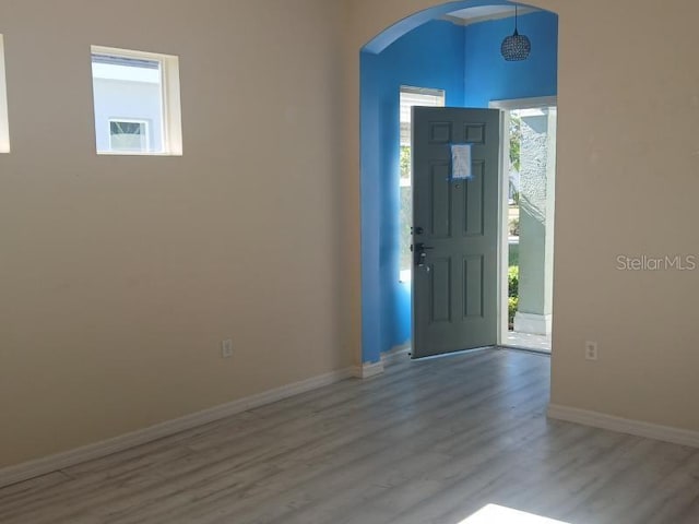 foyer entrance featuring hardwood / wood-style floors and a healthy amount of sunlight