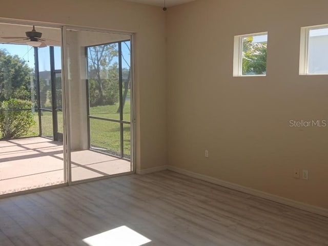 empty room featuring ceiling fan and light wood-type flooring