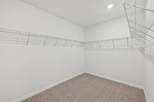 walk in closet featuring carpet floors