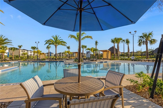 view of pool featuring a patio