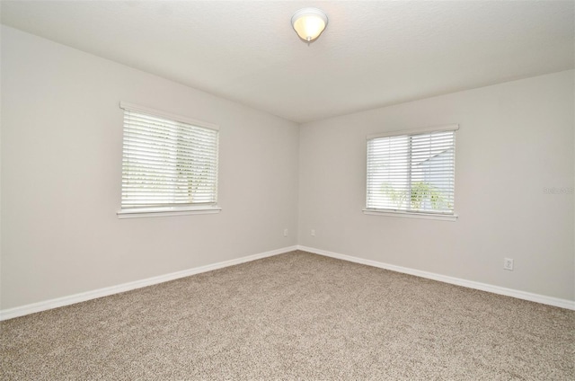 spare room featuring carpet floors