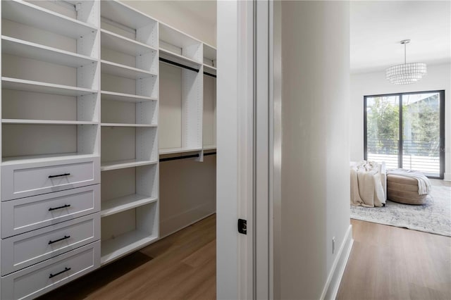 walk in closet featuring dark hardwood / wood-style floors and an inviting chandelier