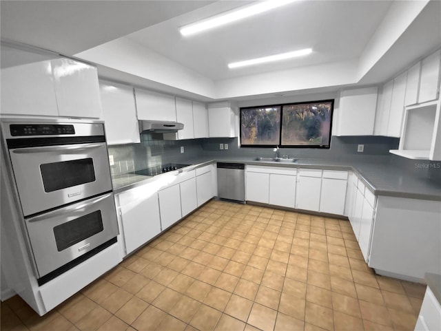 kitchen with white cabinets, sink, appliances with stainless steel finishes, and tasteful backsplash