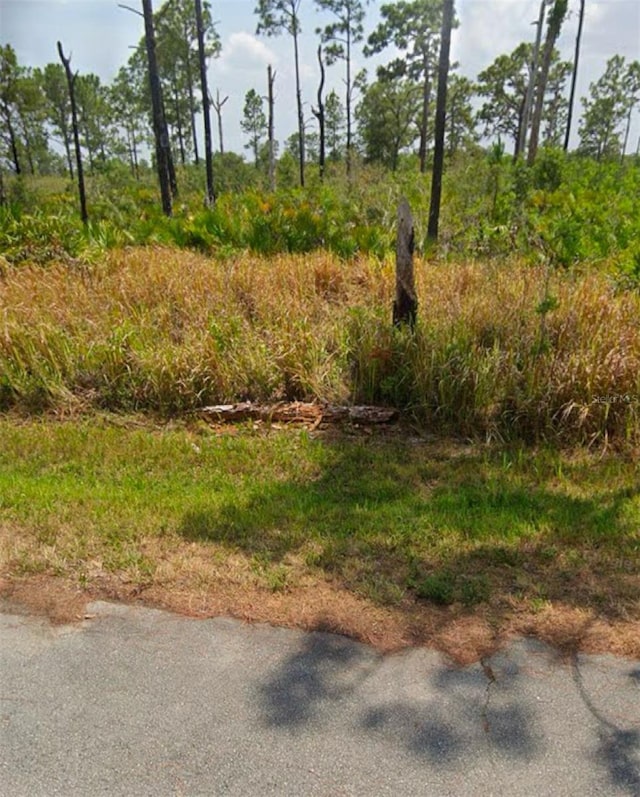 8225 Domenico St, Sebring FL, 33872 land for sale