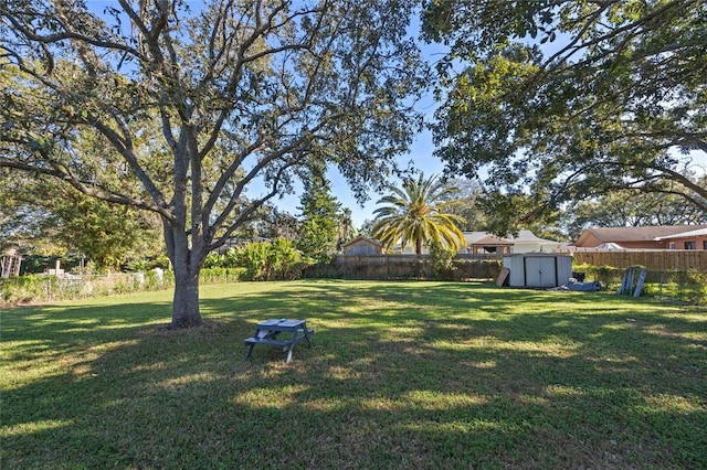 view of yard featuring a shed