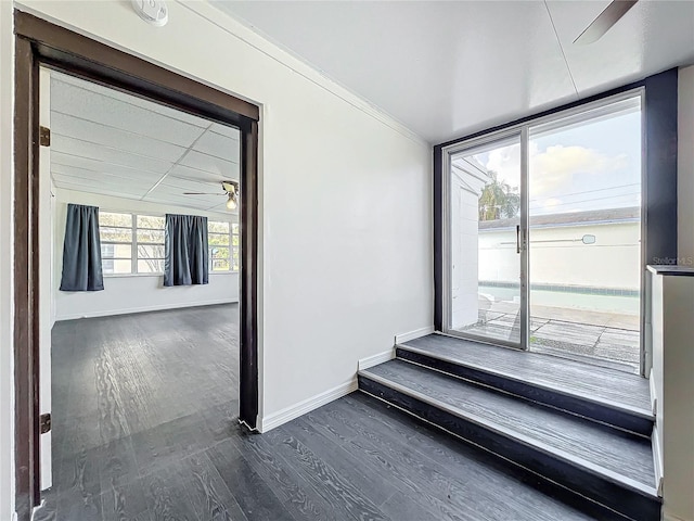 corridor with crown molding and dark wood-type flooring