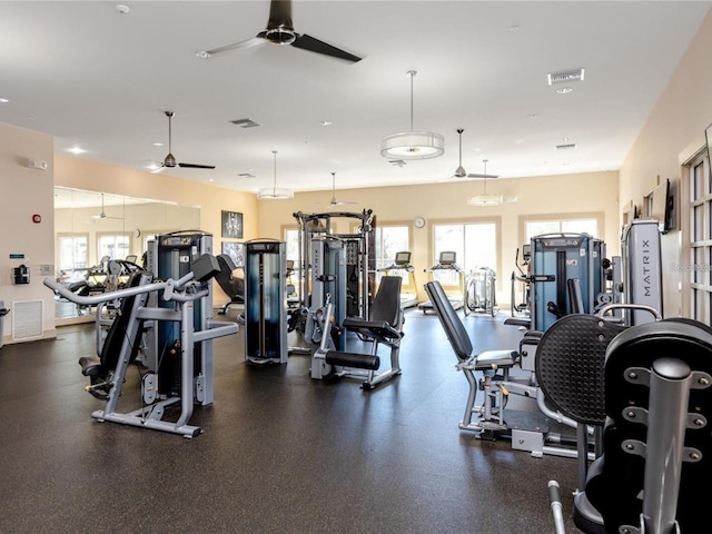 workout area featuring a wealth of natural light and ceiling fan