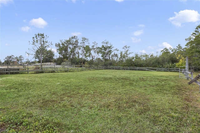 view of yard featuring a rural view