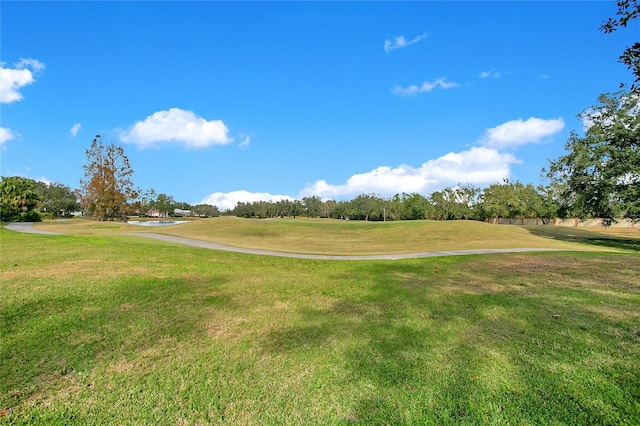 view of home's community with a lawn