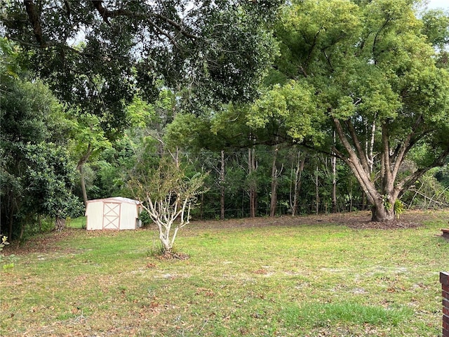 view of yard with a shed