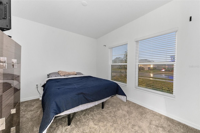 bedroom featuring carpet flooring