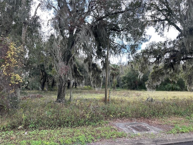 Doyle Rd, Osteen FL, 32764 land for sale