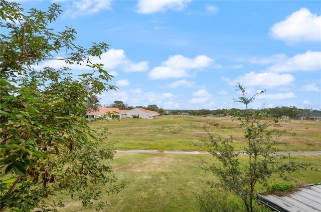 view of yard with a rural view