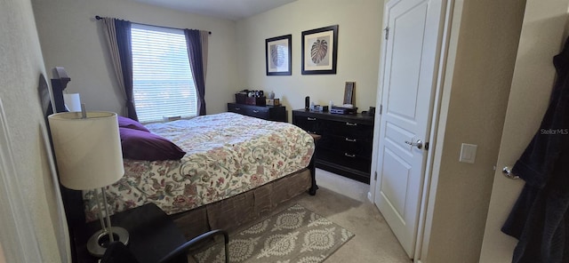 bedroom featuring light colored carpet and a closet