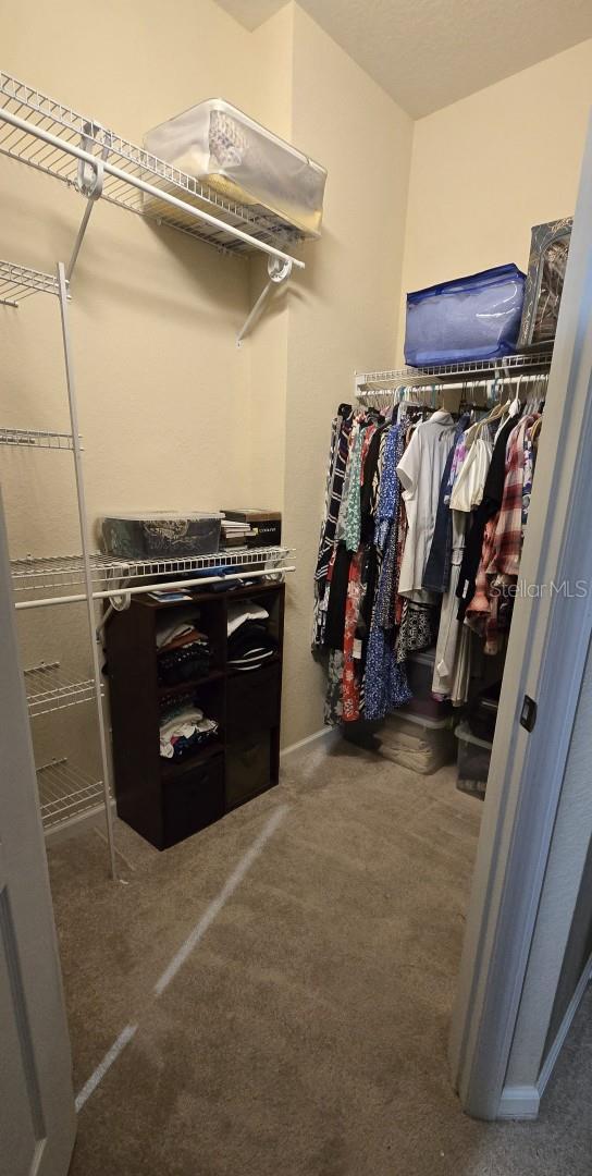 spacious closet with carpet