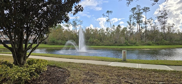 view of community with a water view