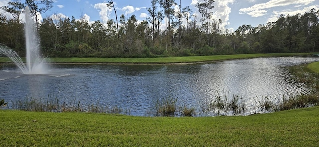 property view of water