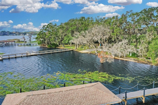 dock area featuring a water view