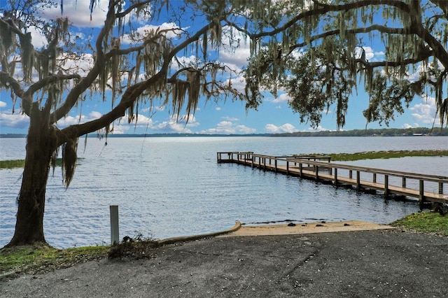 dock area with a water view