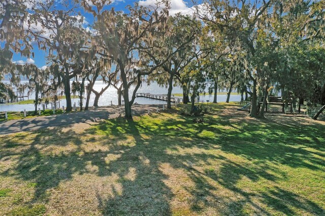 10157 Spring Lake Dr, Clermont, FL 34711 - view of grassy yard with a water view