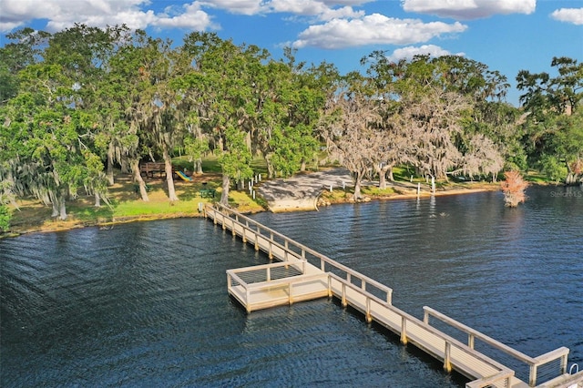 10157 Spring Lake Dr, Clermont, FL 34711 - dock area with a water view and view of wooded area