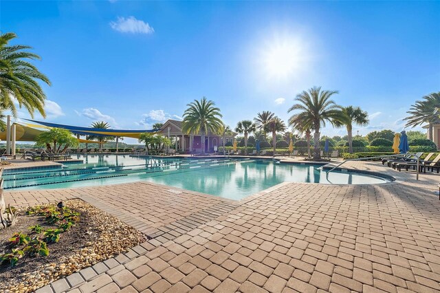440 Alcove Dr, Groveland, FL 34736 - photo 49
