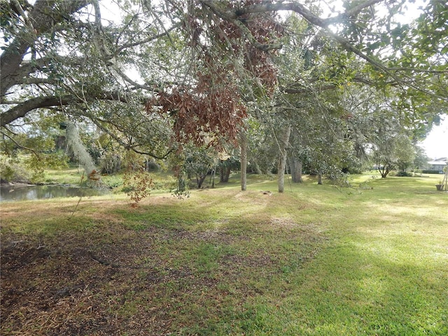 view of yard featuring a water view