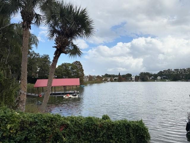 dock area with a water view