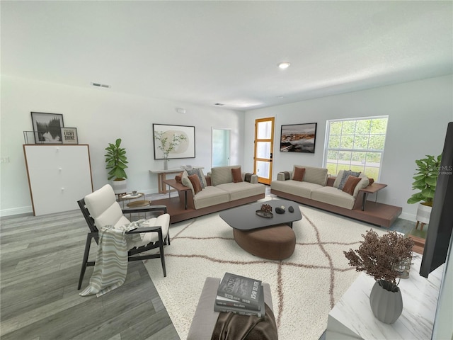 living room featuring hardwood / wood-style floors