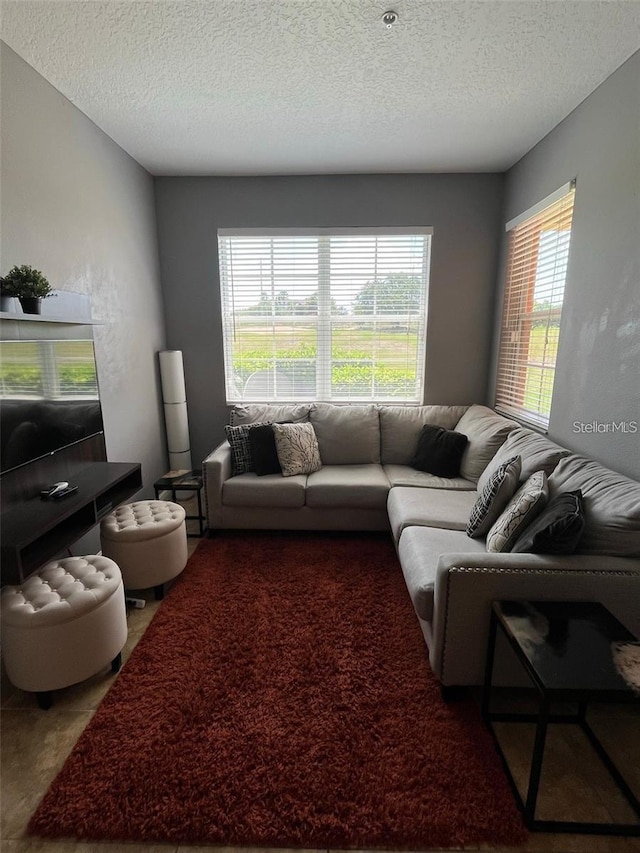 carpeted living room with a textured ceiling