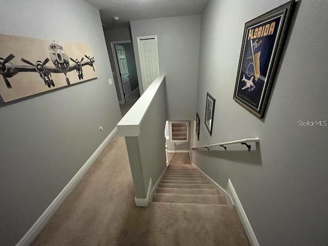 stairway with carpet