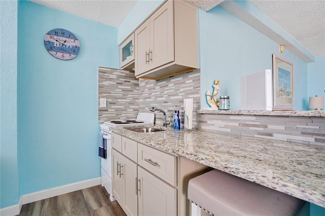 kitchen featuring light stone countertops, sink, tasteful backsplash, dark hardwood / wood-style flooring, and a textured ceiling