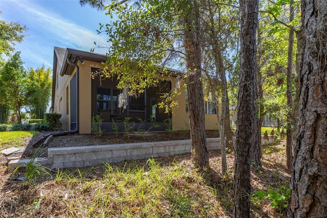 rear view of house featuring stucco siding