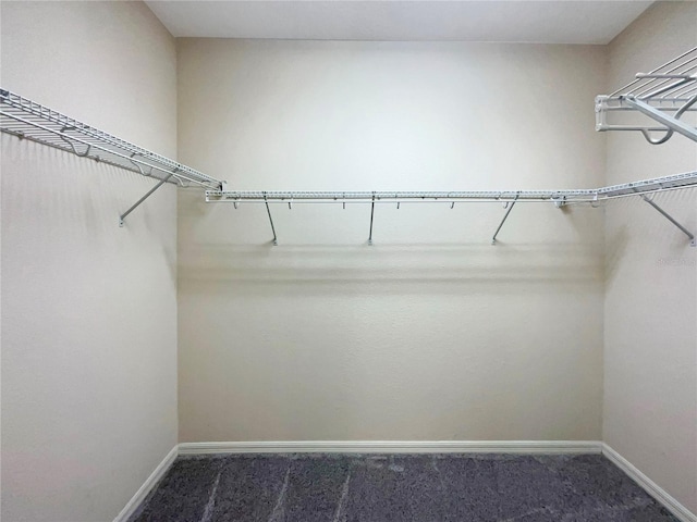 walk in closet featuring dark colored carpet