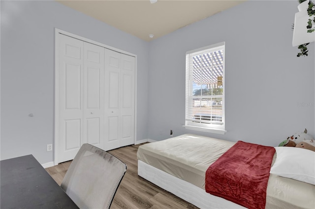 bedroom featuring a closet and hardwood / wood-style flooring