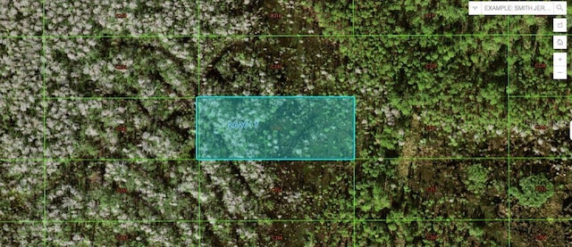 Old Grade Rd, Polk City FL, 33868 land for sale